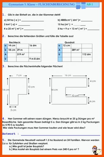 Flächenberechnung Rechteck Arbeitsblatt