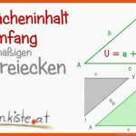 Umfang Und FlÃ¤cheninhalt Von Dreiecke Fuer Arbeitsblatt Flächeninhalt Dreieck