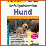 UnfallprÃ¤vention Hund - Sichere Begegnungen Zwischen Mensch Und Hund Fuer Hunde Arbeitsblätter