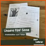 Unsere FÃ¼nf Sinne â ArbeitsblÃ¤tter Zum FÃ¼hlen Herr Lehrer Fuer Die Fünf Sinne Arbeitsblätter
