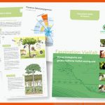Unterrichtsmaterial: Faszination Vielfalt - Kostenlos Bis Ende 2021 Fuer Arbeitsblätter Regenwald