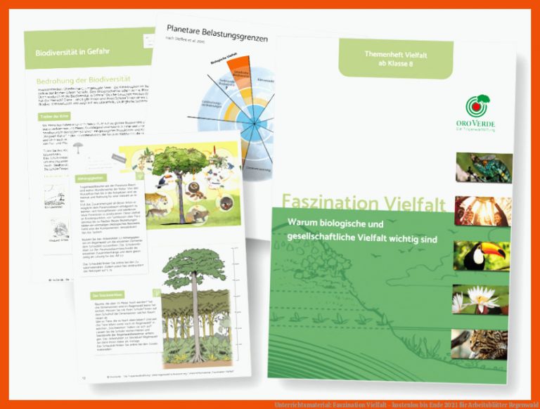 Unterrichtsmaterial: Faszination Vielfalt - kostenlos bis Ende 2021 für arbeitsblätter regenwald