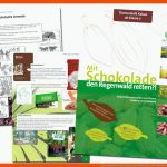 Unterrichtsmaterial: Kakao Und Schokolade oroverde Fuer Arbeitsblätter Regenwald