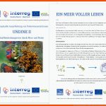 Unterrichtsmaterial & Spiele - Undine - Underwater Discovery and ... Fuer Nahrungskette Meer Arbeitsblatt