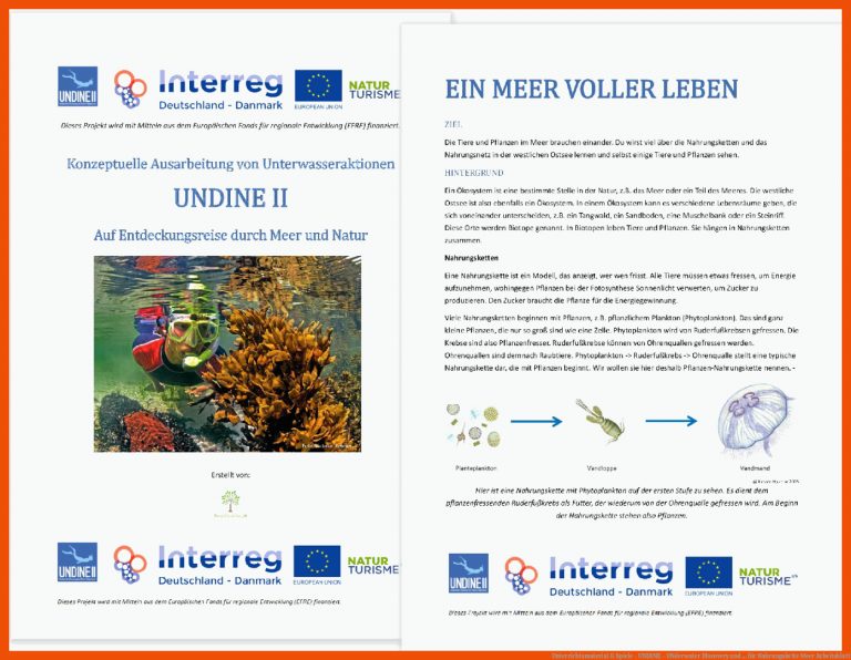 Unterrichtsmaterial & Spiele - UNDINE - UNderwater DIscovery and ... für nahrungskette meer arbeitsblatt