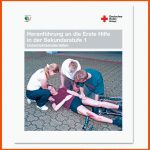 Unterrichtsmaterialien HeranfÃ¼hrung An Die Erste Hilfe In Der ... Fuer Erste Hilfe Kindergarten Arbeitsblätter