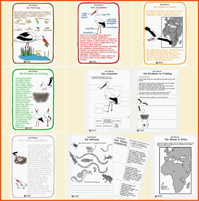 Unterrichtsmaterialien zum Storch (Lebensraum Teich: Klasse 3 ... für lebensraum teich arbeitsblätter