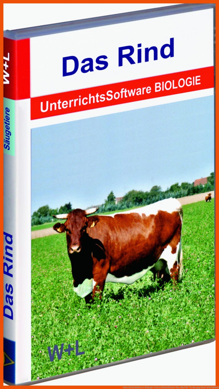 Unterrichtssoftware Biologie: Unterrichtssoftware Das Rind Fuer Verdauung Rind Arbeitsblatt