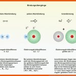 Unterrichtssoftware Chemische Bindungen Privatlizenz Fuer Die Polare atombindung Arbeitsblatt