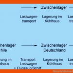 Unterrichtsstunde 9: Der Weg Einer Weintraube Fuer Von Der Traube Zum Wein Arbeitsblatt