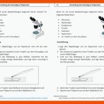 Untersuchung Heuaufguss_arbeitsblatt Und Video Fuer Heuaufguss Arbeitsblatt