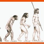 Ursprung Des Menschen: Der Aufstieg Des Menschen - Urzeit ... Fuer Die Entwicklung Des Menschen Arbeitsblatt Lösung