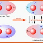 Van-der-waals-krÃ¤fte Fuer Zwischenmolekulare Kräfte Arbeitsblatt