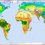 Vegetationszone â Wikipedia Fuer Kontinente Und Ozeane Arbeitsblatt Klett