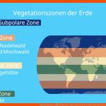 Vegetationszonen â¢ Klima Und Vegetation Der Erde Â· [mit Video] Fuer Klimazonen Europa Klasse 6 Arbeitsblatt Kostenlos