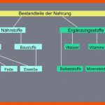 Verdauung: Bestandteile Der Nahrung - Ãbungen Biologie Alpha ... Fuer Bestandteile Der Nahrung Arbeitsblatt