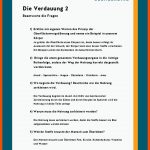 Verdauung Fuer Biologie 5 Klasse Gymnasium Rind Wiederkäuer Arbeitsblatt