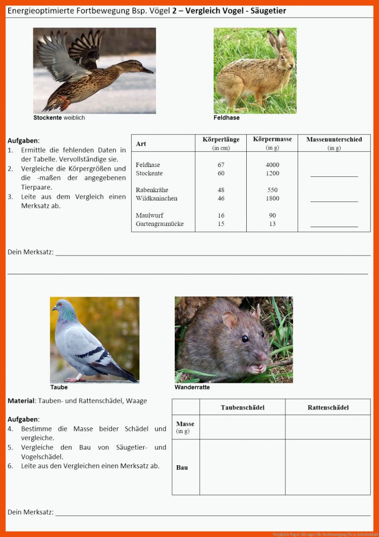 Vergleich Vogel-SÃ¤uger für fortbewegung tiere arbeitsblatt