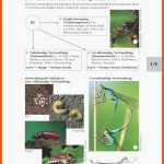 Vergleichende Entwicklung Bei Insekten Fuer Arbeitsblätter Biologie Insekten