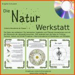 Verlag FÃ¼r Kreatives Unterrichtsmaterial Fuer Arbeitsblatt Kartoffel Kindergarten