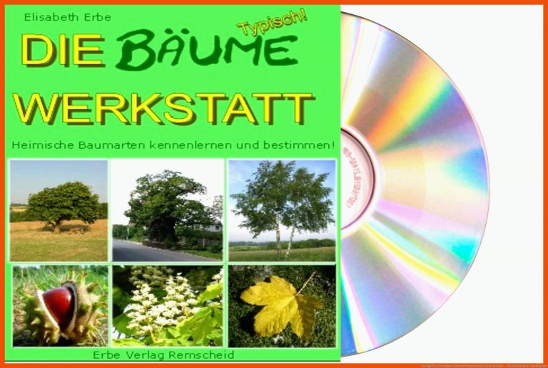 Verlag fÃ¼r kreatives Unterrichtsmaterial (Grundschule ... für arbeitsblatt laubbäume