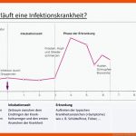 Verlauf Einer Infektionskrankheit Fuer Phasen Einer Infektionskrankheit Arbeitsblatt