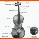 Violine: Aufbau Und Teile âº Musikmachen Fuer Beschriftung Aufbau Der Wirbelsäule Arbeitsblatt