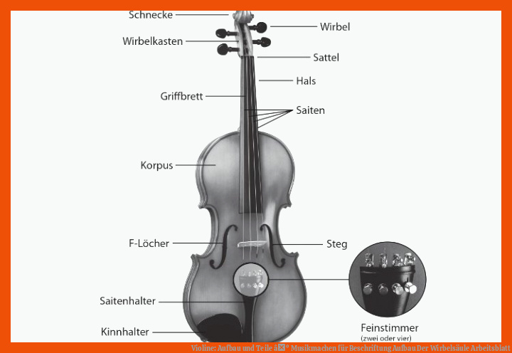 Violine: Aufbau und Teile âº Musikmachen für beschriftung aufbau der wirbelsäule arbeitsblatt