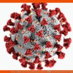 Viren & Bakterien Unterrichtsmaterialien â Meinunterricht Fuer Vergleich Viren Bakterien Arbeitsblatt