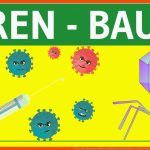 Viren - Bau, Symptome, Aufbau & Merkmale Einfach ErklÃ¤rt - Genetik - Virengenetik & Bakteriengenetik Fuer Viren Aufbau Arbeitsblatt