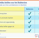 Viren Oder Bakterien â Wo ist Der Unterschied? Stiftung ... Fuer Viren Aufbau Arbeitsblatt