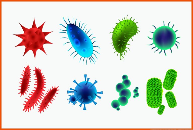 Viren und bakterien unter dem mikroskop flaches design ... für bakterienformen arbeitsblatt