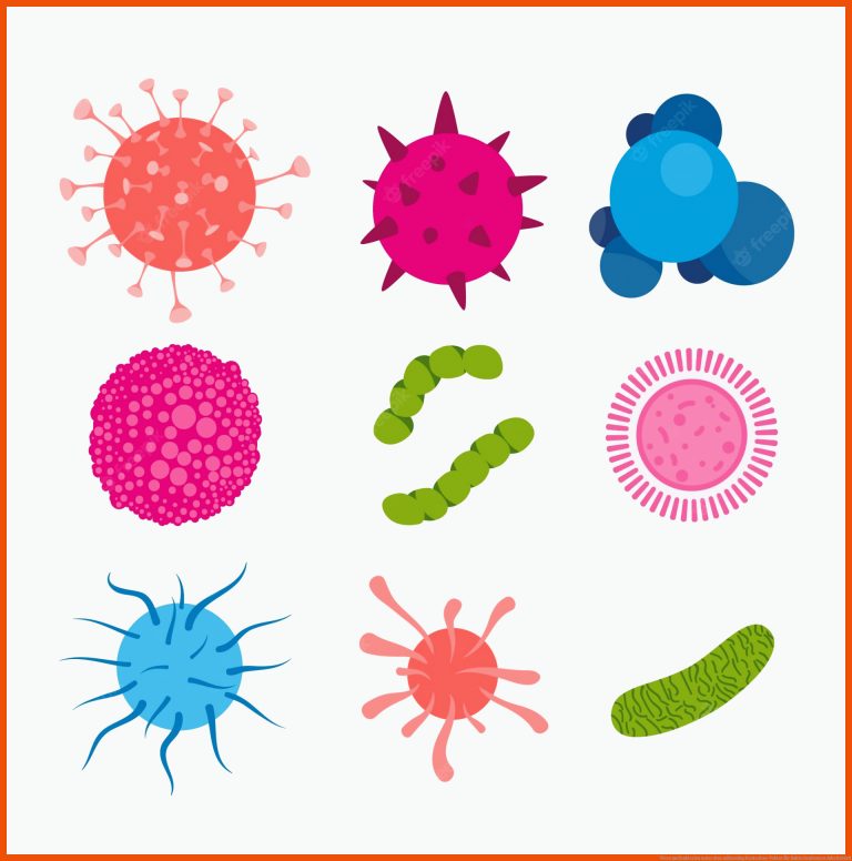 Viren und bakterien unter dem mikroskop | Kostenlose Vektor für bakterienformen arbeitsblatt