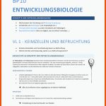 Vl 1   2 - Keimzellen Und Befruchtung & Mechanismen Der ... Fuer Zelldifferenzierung Arbeitsblatt