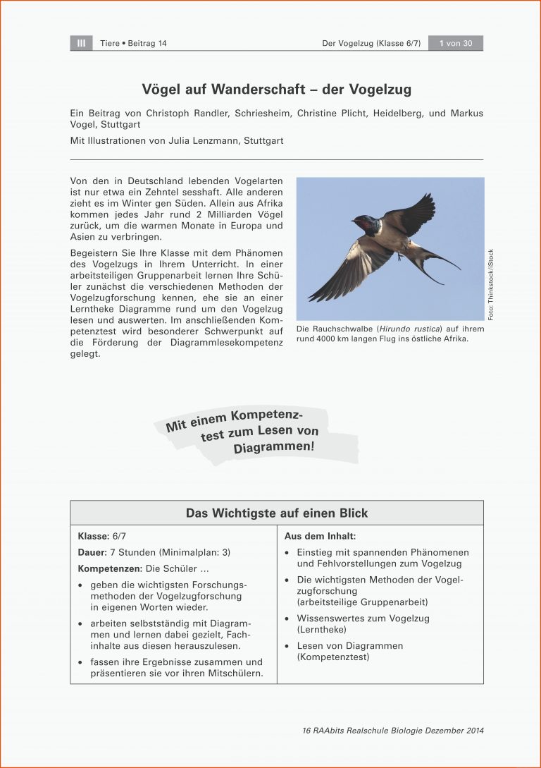 VÃ¶gel auf Wanderschaft - der Vogelzug (Klasse 6/7) Materialien im ... für vogelflug arbeitsblatt