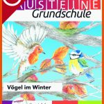 VÃ¶gel Im Winter Fuer Vogelflug Arbeitsblatt