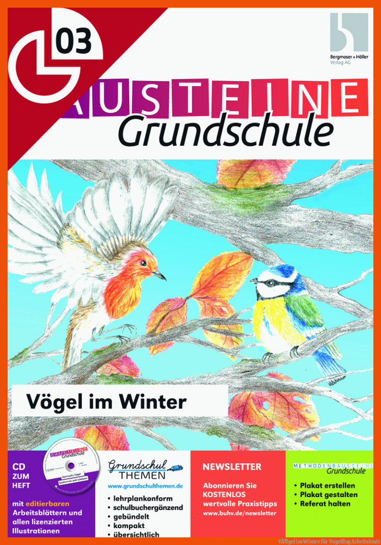 VÃ¶gel im Winter für vogelflug arbeitsblatt