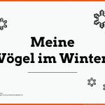 VÃ¶gel - Unterrichtsmaterialien - Seite 3 - Lehrer24.de ... Fuer Vögel Im Winter Arbeitsblätter Kindergarten