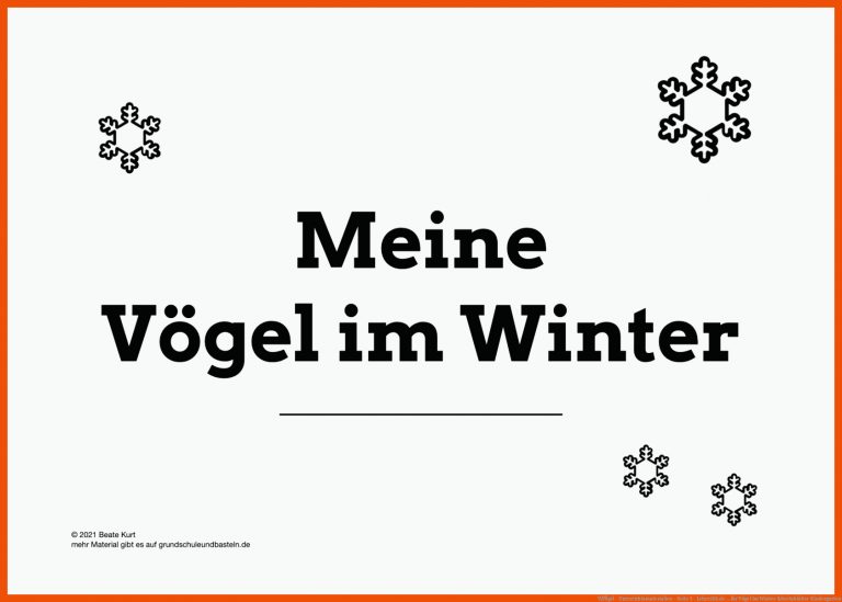 VÃ¶gel - Unterrichtsmaterialien - Seite 3 - Lehrer24.de ... Fuer Vögel Im Winter Arbeitsblätter Kindergarten
