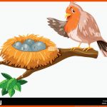 Vogeleier Im Nest Stock-vektorgrafiken Kaufen - Alamy Fuer Vögel Und Ihre Nester Arbeitsblatt