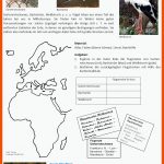 Vogelzug Fuer Biologie Klasse 5 Vögel Arbeitsblätter