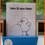 Vom Ei Zum Huhn: Teil 2 â Klassenkunst Fuer Vom Ei Zum Küken Arbeitsblatt Kindergarten