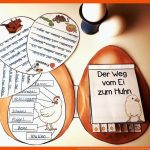 Vom Ei Zum KÃ¼ken/huhn Fuer Vom Ei Zum Küken Arbeitsblatt Kindergarten