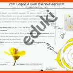 Vom Legebild Zum BlÃ¼tendiagramm Fuer Blütendiagramm Arbeitsblatt