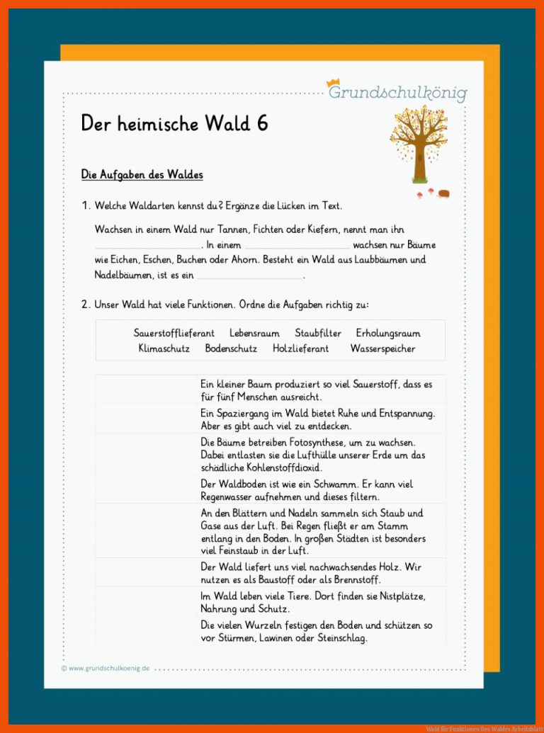 Wald Fuer Funktionen Des Waldes Arbeitsblatt