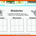 Waldarten Kennen Lernen - Tafelkarten Und Arbeitsblatt - Blog ... Fuer Arbeitsblatt Volksschule