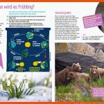 Wapiti - Ausgabe 03/2021 - Sailer Verlag Fuer Feldhase Und Wildkaninchen Arbeitsblatt