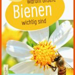 Warum Unsere Bienen Wichtig Sind Fuer Die Honigbiene Arbeitsblätter Lösungen