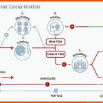 Was Betroffene Wissen MÃ¼ssen: Die Sechs Phasen Einer Corona ... Fuer Phasen Einer Infektionskrankheit Arbeitsblatt