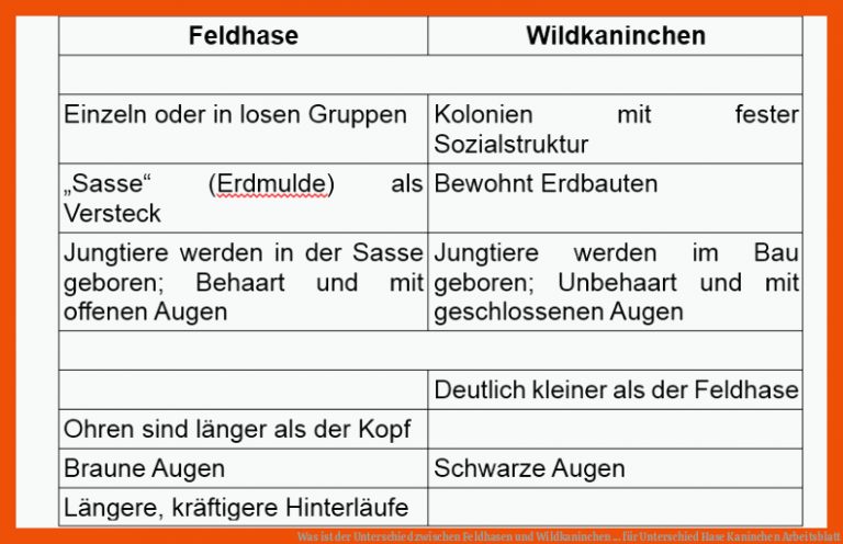 Was ist der Unterschied zwischen Feldhasen und Wildkaninchen ... für unterschied hase kaninchen arbeitsblatt